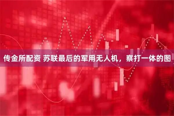 传金所配资 苏联最后的军用无人机，察打一体的图