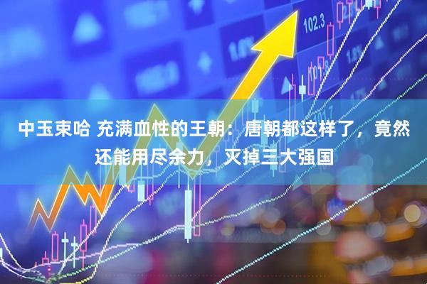 中玉束哈 充满血性的王朝:唐朝都这样了,竟然还能用尽余力,灭掉三大强国