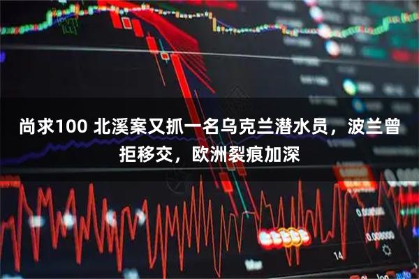 尚求100 北溪案又抓一名乌克兰潜水员，波兰曾拒移交，欧洲裂痕加深